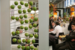 Fruit Logistica